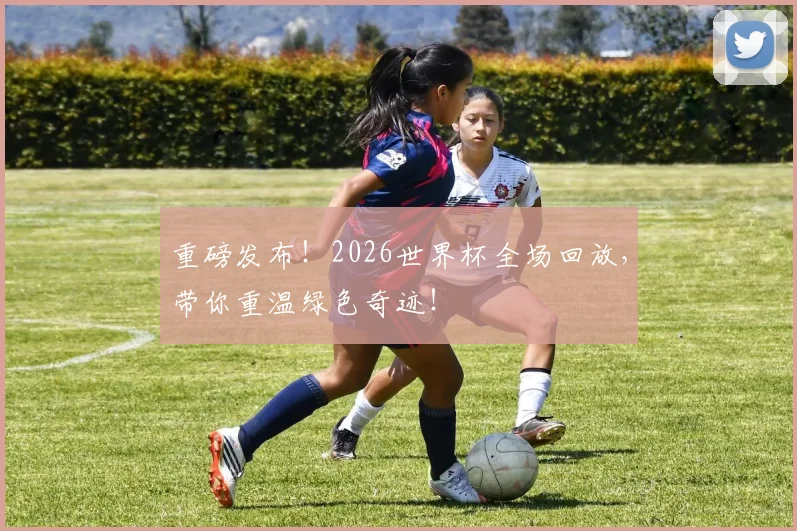 重磅发布！2026世界杯全场回放，带你重温绿色奇迹！